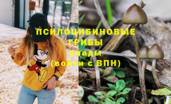 MDMA Горнозаводск