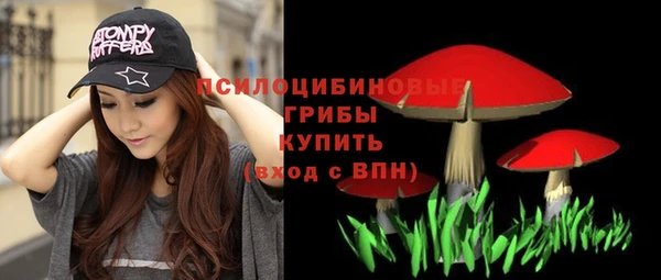 прущая мука Горно-Алтайск