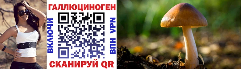 Псилоцибиновые грибы Magic Shrooms  Купить  Кунгур 